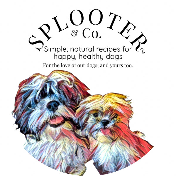 Splooter & Co.